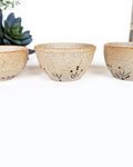 Set of handmade Southwestern stoneware jewelry bowls with carved agave designs and dotted glaze details.