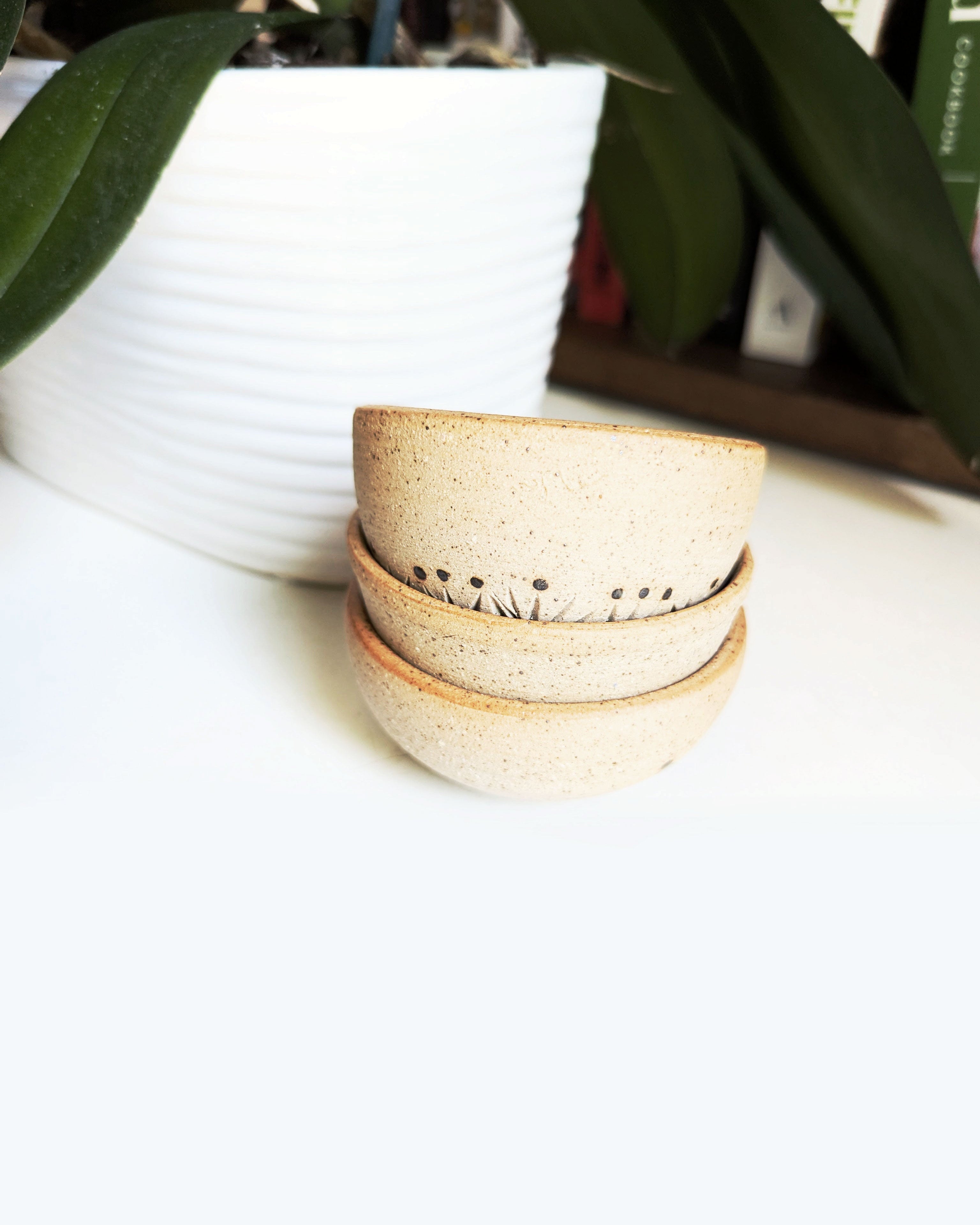 Rustic handmade ceramic trinket bowls with carved botanical designs for jewelry, crystals, and keepsakes.