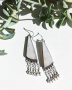 Fossil coral earrings with translucent white snowflake patterns